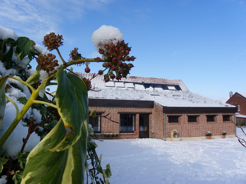 Fleur De Ciel Βίλα Loos-en-Gohelle Εξωτερικό φωτογραφία